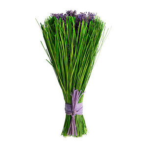 일루일루,DOFTA Dried bouquet, scented, Lavender